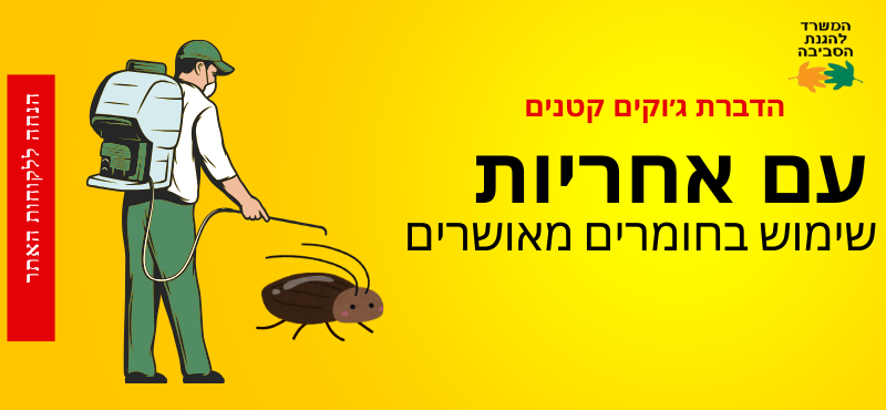 הדברת ג׳וקים קטנים- אבני הנדימן